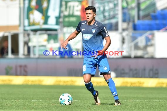 1. BL - 16/17 - TSG 1899 Hoffenheim vs. SV Werder Bremen (© Kraichgausport / Loerz)