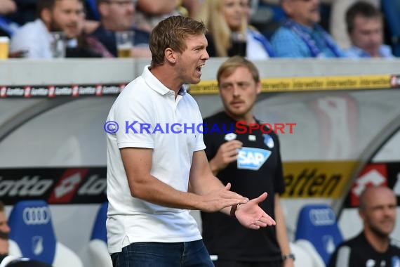 1. BL - 16/17 - TSG 1899 Hoffenheim vs. SV Werder Bremen (© Kraichgausport / Loerz)