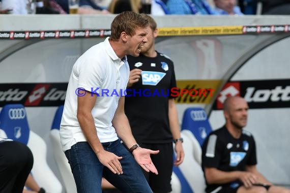 1. BL - 16/17 - TSG 1899 Hoffenheim vs. SV Werder Bremen (© Kraichgausport / Loerz)