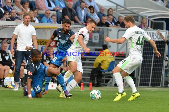 1. BL - 16/17 - TSG 1899 Hoffenheim vs. SV Werder Bremen (© Kraichgausport / Loerz)