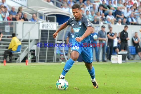 1. BL - 16/17 - TSG 1899 Hoffenheim vs. SV Werder Bremen (© Kraichgausport / Loerz)