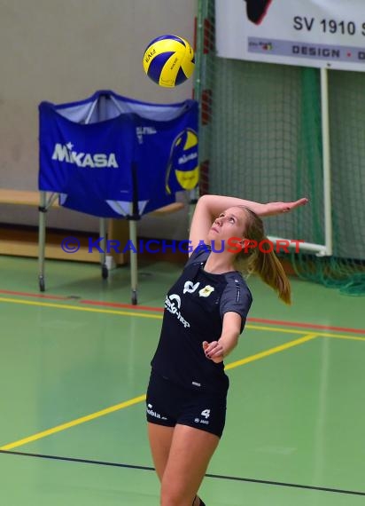 Volleyball Damen 3. Liga Süd SV Sinsheim gegen SSC Bad Vilbel 21.10.2017 (© Siegfried)