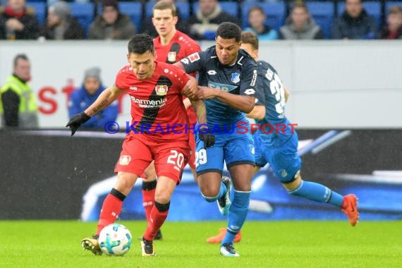 1.BL - 17/18 - TSG 1899 Hoffenheim vs.Bayer 04 Leverkusen (© Kraichgausport / Loerz)