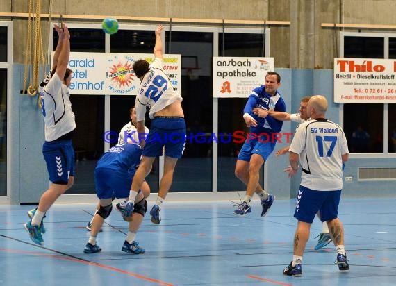 Handball TSV Phoenix Steinsfurt vs SG Astoria Walldorf 22.02.2016 (© Siegfried Lörz)