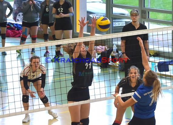 Volleyball Verbandsliga Damen SV Sinsheim-2 vs TSV Handschuhsheim (© Siegfried)