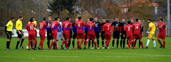 FC Zuzenhausen - VfL Neckarau landesliga Rhein-Neckar 17.11.2013 (© Siegfried)