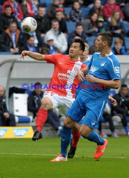 1. Fußball Bundesliga Saison 2013/2014 25. Spieltag TSG 1899 Hoffenheim - FSV Mainz 05 Wirsol Rhein Neckar Arena Sinsheim 15.03.201 (© Fotostand / Loerz)