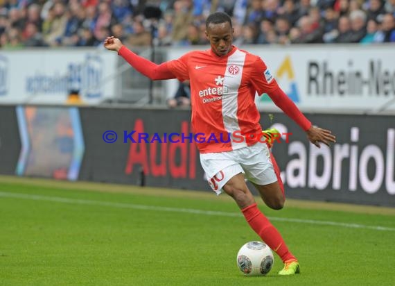 1. Fußball Bundesliga Saison 2013/2014 25. Spieltag TSG 1899 Hoffenheim - FSV Mainz 05 Wirsol Rhein Neckar Arena Sinsheim 15.03.201 (© Fotostand / Loerz)