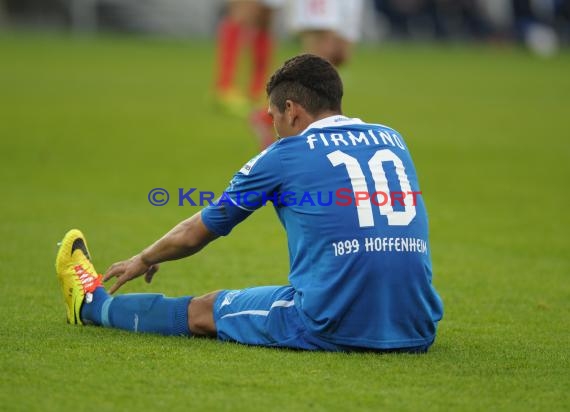 1. Fußball Bundesliga Saison 2013/2014 25. Spieltag TSG 1899 Hoffenheim - FSV Mainz 05 Wirsol Rhein Neckar Arena Sinsheim 15.03.201 (© Fotostand / Loerz)