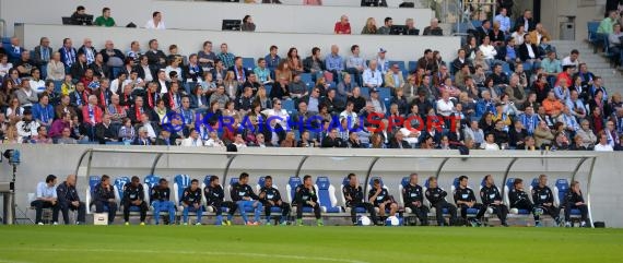 1. Fußball Bundesliga TSG 1899 Hoffenheim - FC Augsburg Wirsol Rhein Neckar Arena Sinsheim 12.04.2014 (© Fotostand / Loerz)