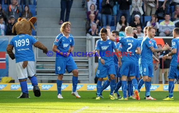 1. Fußball Bundesliga TSG 1899 Hoffenheim - FC Augsburg Wirsol Rhein Neckar Arena Sinsheim 12.04.2014 (© Fotostand / Loerz)