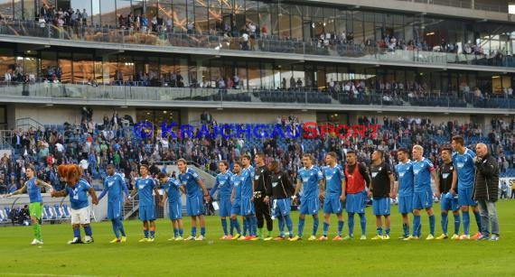 1. Fußball Bundesliga TSG 1899 Hoffenheim - FC Augsburg Wirsol Rhein Neckar Arena Sinsheim 12.04.2014 (© Fotostand / Loerz)