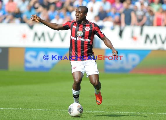 1. Fußball Bundesliga TSG 1899 Hoffenheim - Eintracht Frankfurt Wirsol Rhein Neckar Arena Sinsheim 26.04.2014 (© Fotostand / Loerz)