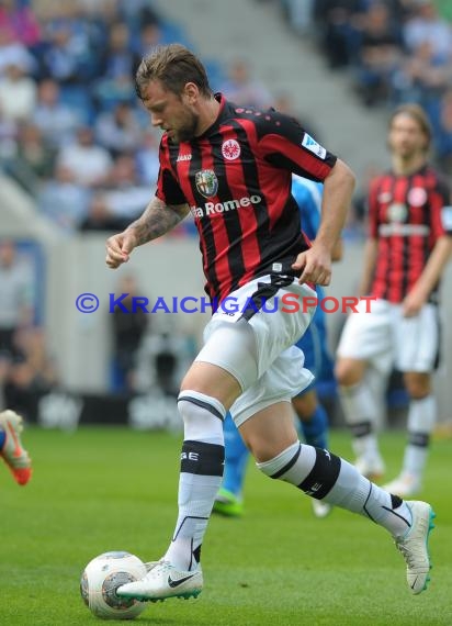 1. Fußball Bundesliga TSG 1899 Hoffenheim - Eintracht Frankfurt Wirsol Rhein Neckar Arena Sinsheim 26.04.2014 (© Fotostand / Loerz)