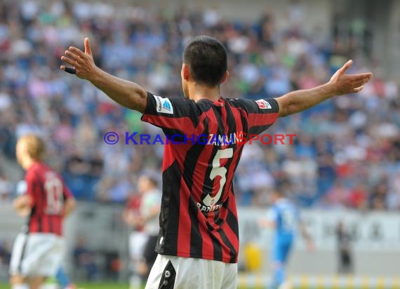 1. Fußball Bundesliga TSG 1899 Hoffenheim - Eintracht Frankfurt Wirsol Rhein Neckar Arena Sinsheim 26.04.2014 (© Fotostand / Loerz)