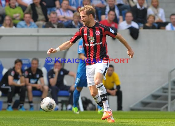 1. Fußball Bundesliga TSG 1899 Hoffenheim - Eintracht Frankfurt Wirsol Rhein Neckar Arena Sinsheim 26.04.2014 (© Fotostand / Loerz)