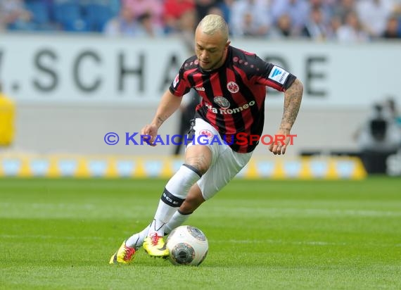 1. Fußball Bundesliga TSG 1899 Hoffenheim - Eintracht Frankfurt Wirsol Rhein Neckar Arena Sinsheim 26.04.2014 (© Fotostand / Loerz)