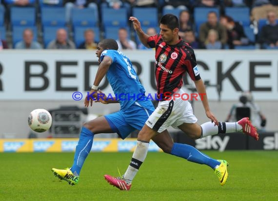 1. Fußball Bundesliga TSG 1899 Hoffenheim - Eintracht Frankfurt Wirsol Rhein Neckar Arena Sinsheim 26.04.2014 (© Fotostand / Loerz)