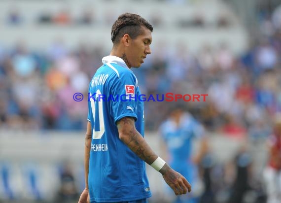 1. Fußball Bundesliga TSG 1899 Hoffenheim - Eintracht Frankfurt Wirsol Rhein Neckar Arena Sinsheim 26.04.2014 (© Fotostand / Loerz)