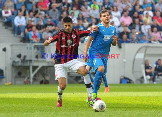 1. Fußball Bundesliga TSG 1899 Hoffenheim - Eintracht Frankfurt Wirsol Rhein Neckar Arena Sinsheim 26.04.2014 (© Fotostand / Loerz)