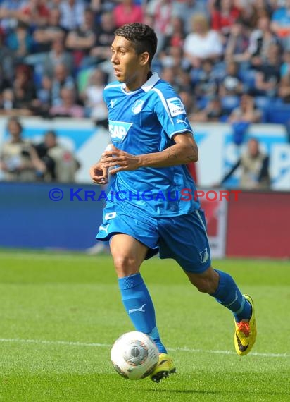 1. Fußball Bundesliga TSG 1899 Hoffenheim - Eintracht Frankfurt Wirsol Rhein Neckar Arena Sinsheim 26.04.2014 (© Fotostand / Loerz)