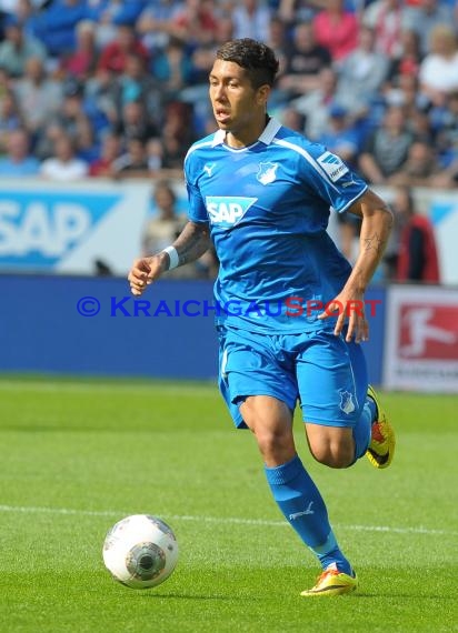 1. Fußball Bundesliga TSG 1899 Hoffenheim - Eintracht Frankfurt Wirsol Rhein Neckar Arena Sinsheim 26.04.2014 (© Fotostand / Loerz)