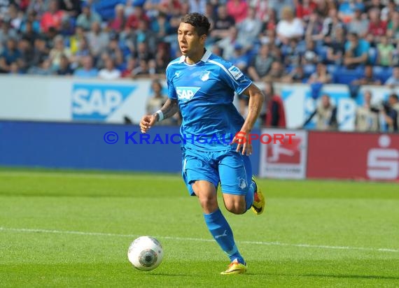 1. Fußball Bundesliga TSG 1899 Hoffenheim - Eintracht Frankfurt Wirsol Rhein Neckar Arena Sinsheim 26.04.2014 (© Fotostand / Loerz)