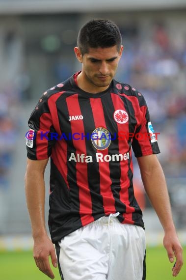 1. Fußball Bundesliga TSG 1899 Hoffenheim - Eintracht Frankfurt Wirsol Rhein Neckar Arena Sinsheim 26.04.2014 (© Fotostand / Loerz)