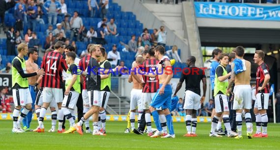 1. Fußball Bundesliga TSG 1899 Hoffenheim - Eintracht Frankfurt Wirsol Rhein Neckar Arena Sinsheim 26.04.2014 (© Fotostand / Loerz)