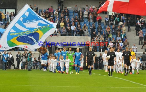 1. Fußball Bundesliga TSG 1899 Hoffenheim - Eintracht Braunschweig Wirsol Rhein Neckar Arena Sinsheim 10.05.2014 (© Fotostand / Loerz)