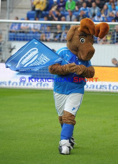 1. Fußball Bundesliga TSG 1899 Hoffenheim - Eintracht Braunschweig Wirsol Rhein Neckar Arena Sinsheim 10.05.2014 (© Fotostand / Loerz)