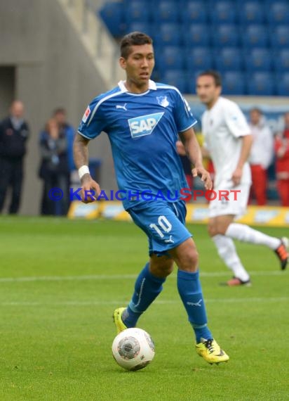 1. Fußball Bundesliga TSG 1899 Hoffenheim - Eintracht Braunschweig Wirsol Rhein Neckar Arena Sinsheim 10.05.2014 (© Fotostand / Loerz)