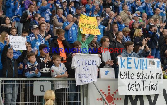 1. Fußball Bundesliga TSG 1899 Hoffenheim - Eintracht Braunschweig Wirsol Rhein Neckar Arena Sinsheim 10.05.2014 (© Fotostand / Loerz)