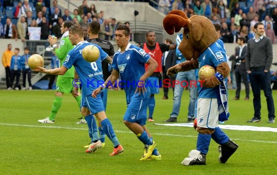 1. Fußball Bundesliga TSG 1899 Hoffenheim - Eintracht Braunschweig Wirsol Rhein Neckar Arena Sinsheim 10.05.2014 (© Fotostand / Loerz)