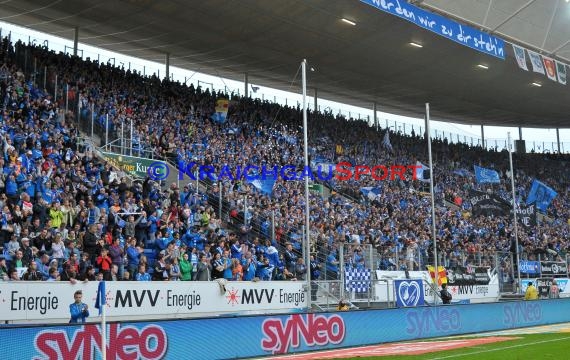 1. Fußball Bundesliga TSG 1899 Hoffenheim - Eintracht Braunschweig Wirsol Rhein Neckar Arena Sinsheim 10.05.2014 (© Fotostand / Loerz)