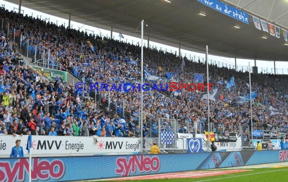 1. Fußball Bundesliga TSG 1899 Hoffenheim - Eintracht Braunschweig Wirsol Rhein Neckar Arena Sinsheim 10.05.2014 (© Fotostand / Loerz)