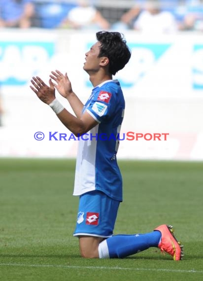 Testspile TSG 1899 Hoffenheim -CFC Genua in der Wirsol Rhein Neckar Arena Sinsheim 09.08.2014 (© Fotostand / Loerz)