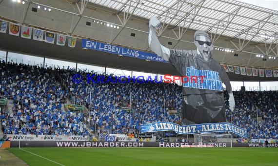 1. Fußball Bundesliga TSG 1899 Hoffenheim - FC Augsburg in der Wirsol Rhein Neckar Arena Sinsheim 23.08.2014 (© Fotostand / Loerz)