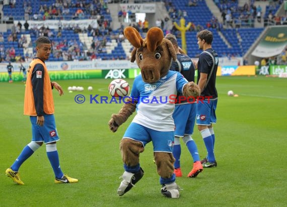 1. Fußball Bundesliga TSG 1899 Hoffenheim - FC Augsburg in der Wirsol Rhein Neckar Arena Sinsheim 23.08.2014 (© Fotostand / Loerz)