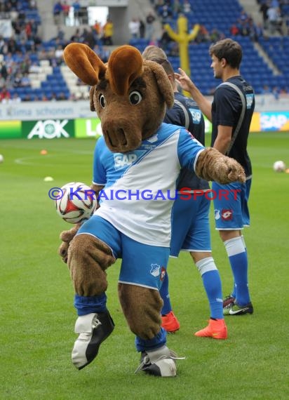 1. Fußball Bundesliga TSG 1899 Hoffenheim - FC Augsburg in der Wirsol Rhein Neckar Arena Sinsheim 23.08.2014 (© Fotostand / Loerz)