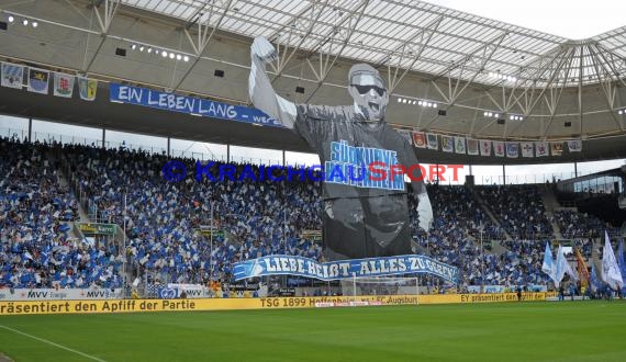 1. Fußball Bundesliga TSG 1899 Hoffenheim - FC Augsburg in der Wirsol Rhein Neckar Arena Sinsheim 23.08.2014 (© Fotostand / Loerz)