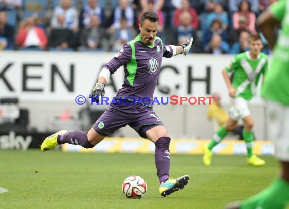 1. Fußball Bundesliga TSG 1899 Hoffenheim - VfL Wolfsburg in der Wirsol Rhein Neckar Arena Sinsheim 13.09.2014 (© Fotostand / Loerz)