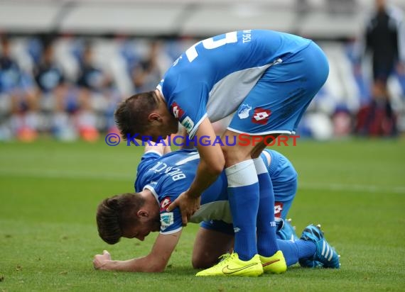 1. Fußball Bundesliga TSG 1899 Hoffenheim - VfL Wolfsburg in der Wirsol Rhein Neckar Arena Sinsheim 13.09.2014 (© Fotostand / Loerz)