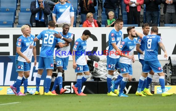 1. Fußball Bundesliga TSG 1899 Hoffenheim - VfL Wolfsburg in der Wirsol Rhein Neckar Arena Sinsheim 13.09.2014 (© Fotostand / Loerz)