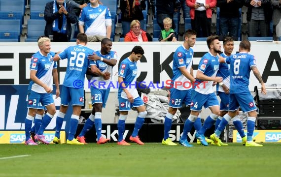 1. Fußball Bundesliga TSG 1899 Hoffenheim - VfL Wolfsburg in der Wirsol Rhein Neckar Arena Sinsheim 13.09.2014 (© Fotostand / Loerz)