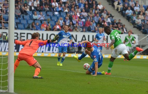 1. Fußball Bundesliga TSG 1899 Hoffenheim - VfL Wolfsburg in der Wirsol Rhein Neckar Arena Sinsheim 13.09.2014 (© Fotostand / Loerz)