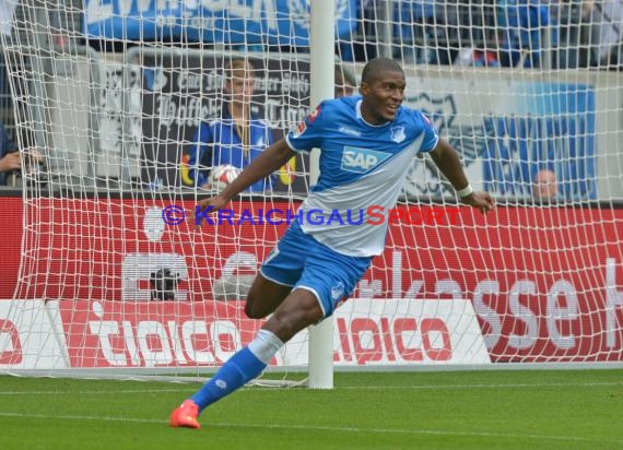 1. Fußball Bundesliga TSG 1899 Hoffenheim - VfL Wolfsburg in der Wirsol Rhein Neckar Arena Sinsheim 13.09.2014 (© Fotostand / Loerz)