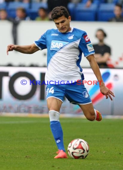 1. Fußball Bundesliga TSG 1899 Hoffenheim - VfL Wolfsburg in der Wirsol Rhein Neckar Arena Sinsheim 13.09.2014 (© Fotostand / Loerz)