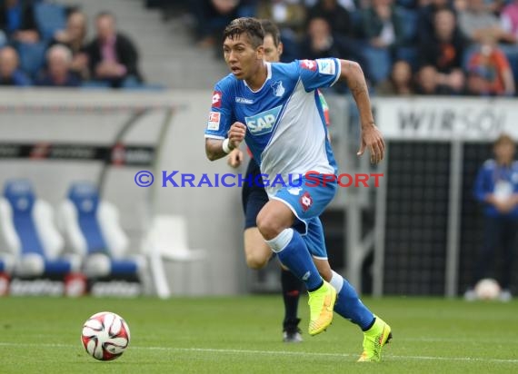 1. Fußball Bundesliga TSG 1899 Hoffenheim - VfL Wolfsburg in der Wirsol Rhein Neckar Arena Sinsheim 13.09.2014 (© Fotostand / Loerz)