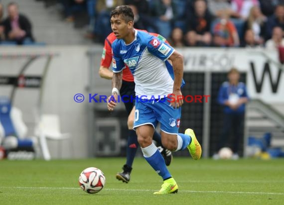 1. Fußball Bundesliga TSG 1899 Hoffenheim - VfL Wolfsburg in der Wirsol Rhein Neckar Arena Sinsheim 13.09.2014 (© Fotostand / Loerz)